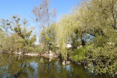 DSCN2441