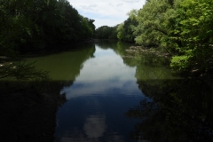 DSCN3037